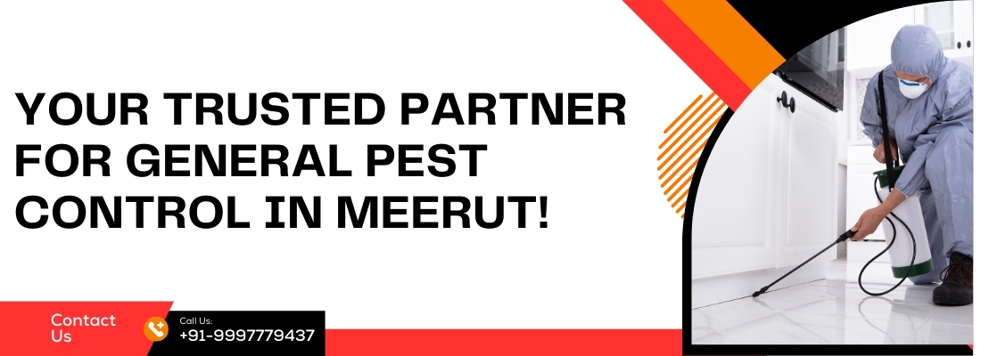 General Pest Control Service in Meerut , General Pest control service, Kuttus Pest Control